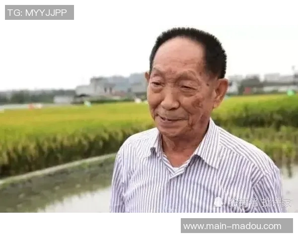 91原创麻豆-探索91原创麻豆的魅力世界-91原创麻豆